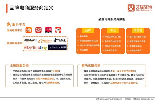 2023年中國(guó)品牌電商服務(wù)商行業(yè)研究報(bào)告——社會(huì)經(jīng)濟(jì)咨詢(xún)服務(wù)解析