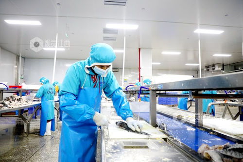 江西峽江 食品企業(yè)產(chǎn)銷兩旺，工業(yè)潤(rùn)滑油科技研發(fā)并舉